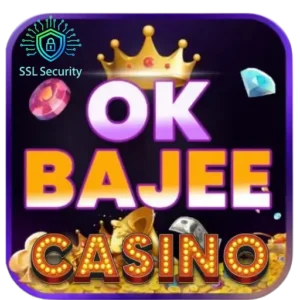 OKBajee App SSL Security