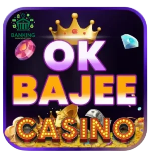 OKBajee App Banking & Payment Options